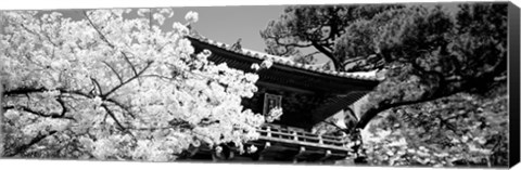 Framed Golden Gate Park, Japanese Tea Garden (black &amp; white) Print