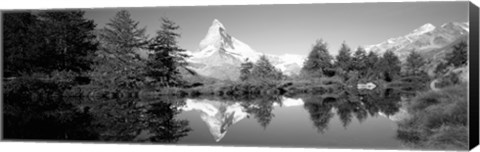 Framed Reflection of trees and mountain in a lake, Matterhorn, Switzerland (black and white) Print