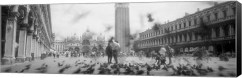 Framed Flock of pigeons flying, St. Mark&#39;s Square, Venice, Italy (black and white) Print