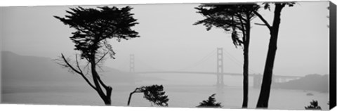 Framed Golden Gate Bridge Through the Fog (black &amp; white) Print