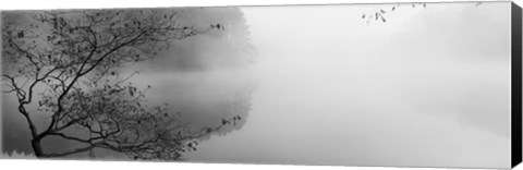 Framed Reflection of trees in a lake, Lake Vesuvius, Wayne National Forest, Ohio, USA Print