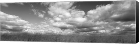 Framed Hayden Prairie, Iowa (black and white) Print