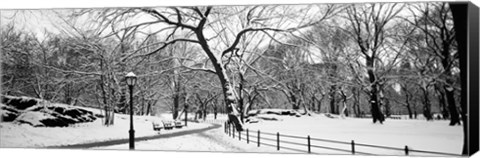 Framed Central Park in Snow Print