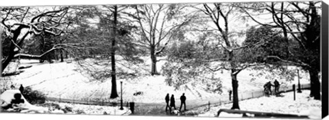 Framed High angle view of a group of people in a park, Central Park, Manhattan, New York Print