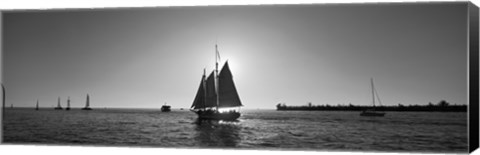 Framed Sailboat, Key West, Florida, USA Print