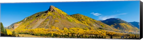 Framed Aspen trees on mountain, Anvil Mountain, Million Dollar Highway, Silverton, Colorado, USA Print