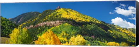 Framed Aspen trees on mountain, Needle Rock, Gold Hill, Uncompahgre National Forest, Telluride, Colorado, USA Print