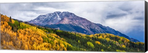 Framed Trees on mountains, San Juan National Forest, Colorado, USA Print