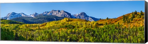 Framed Uncompahgre National Forest, Colorado Print