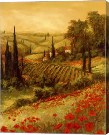 Framed Toscano Valley II Print