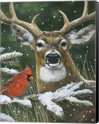 Framed Deer With Cardinal Print