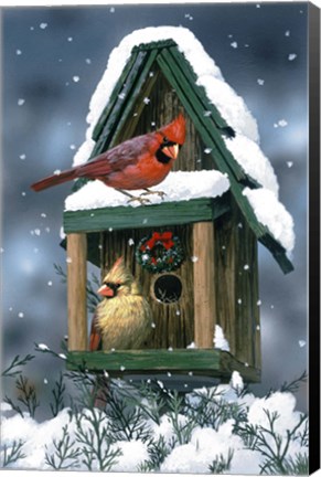 Framed Cardinals And Birdhouse In Snow Print