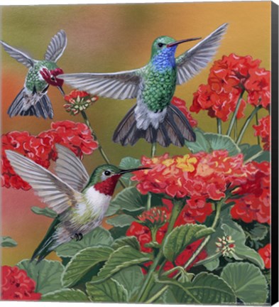Framed Hummingbirds &amp; Flowers Print