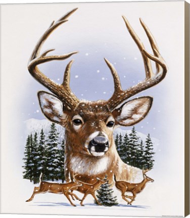 Framed Whitetail Deer Montage/ Winter Print
