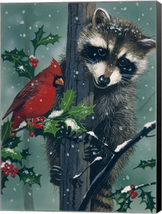 Framed Raccoon - winter Print