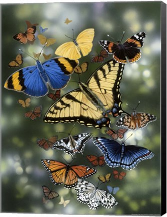 Framed Flying Flowers Print