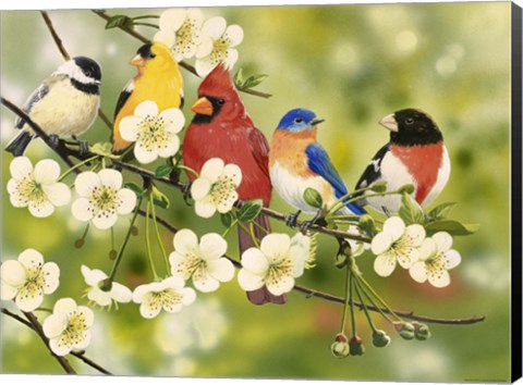 Framed Songbirds On a Flowering Branch Print