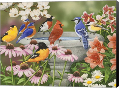 Framed Garden Birdbath Print