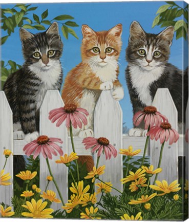 Framed Backyard Kittens Print