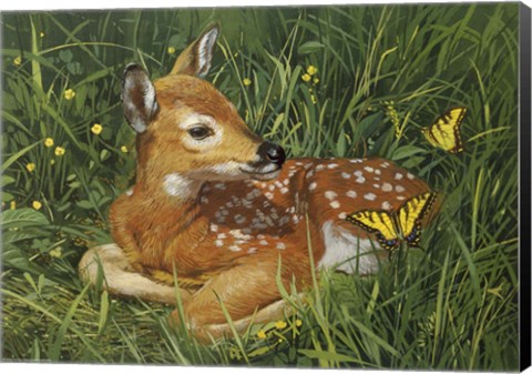 Framed Fawn Print