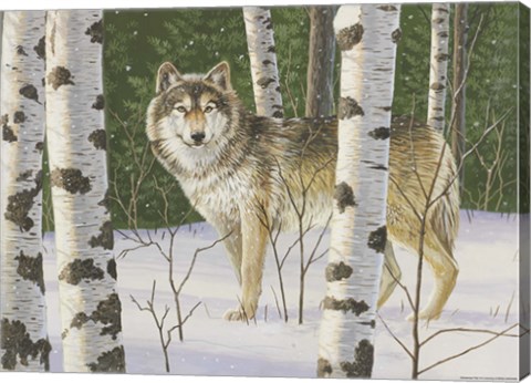 Framed Lone Wolf Print
