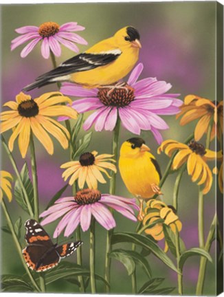 Framed Golden Finches Print
