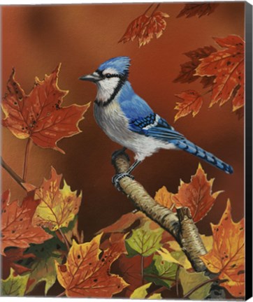 Framed Fall Colors Print