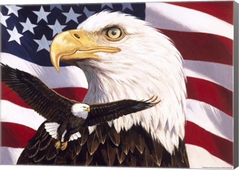 Framed Eagle And Flag Print