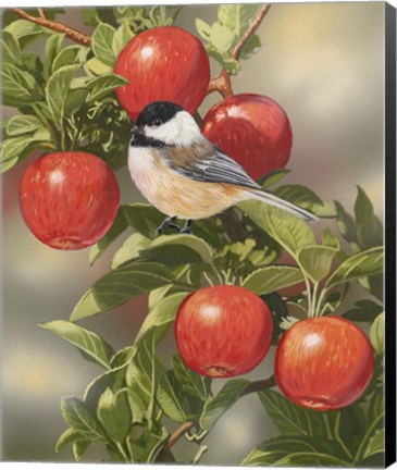 Framed Orchard Guest Print