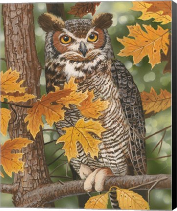 Framed Autumn Owl Print