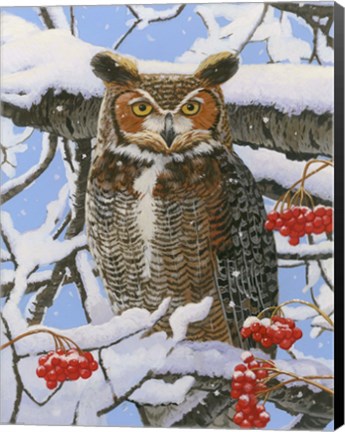 Framed Great-horned Owl Print