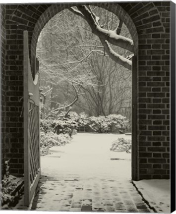 Framed Secret Garden Redux Print