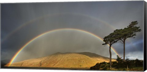 Framed Double Rainbow Print