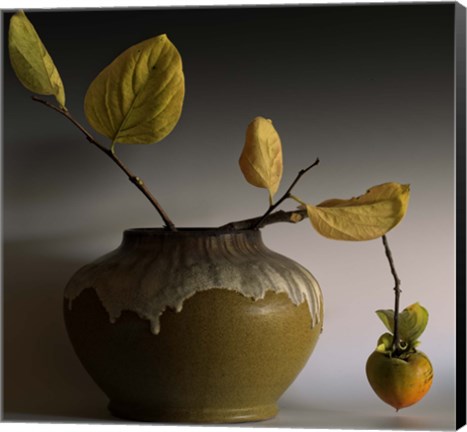 Framed Still Life with Persimmon Print