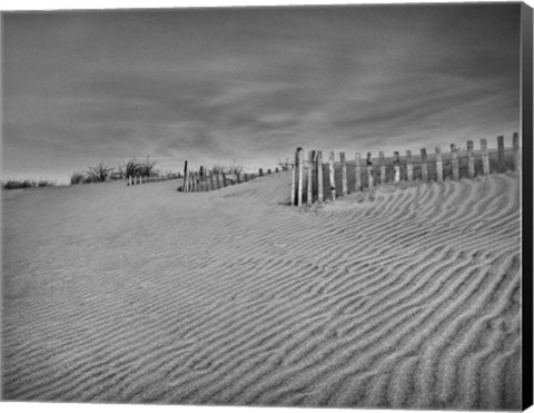 Framed Anglesea Moire II Print