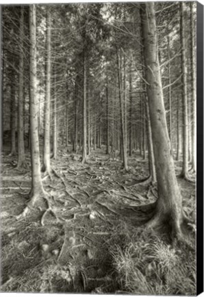 Framed Mnemonic Print