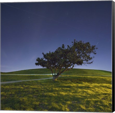 Framed Night Cyclist Print