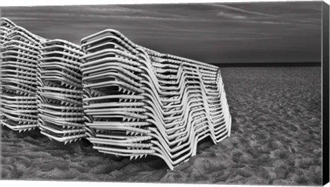 Framed Great Whites Print