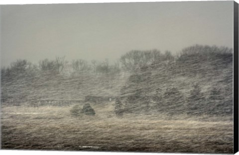 Framed Snow Train to China Print