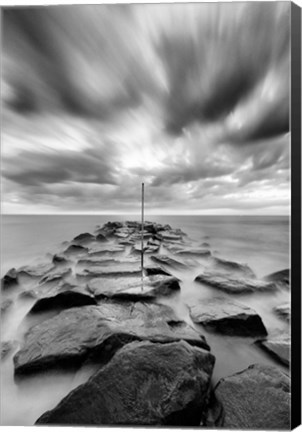 Framed Artifact Print