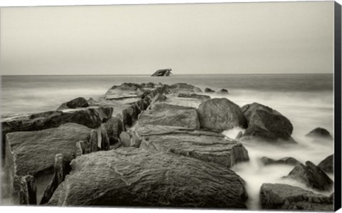 Framed Dentata Print