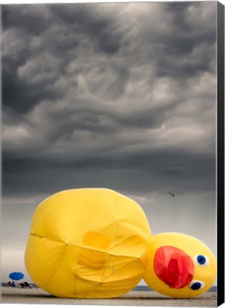 Framed Oh the Humanity Print