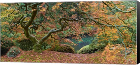 Framed Tree Final Print