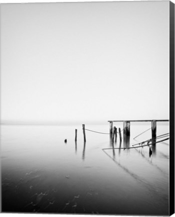 Framed Needle and Thread Print