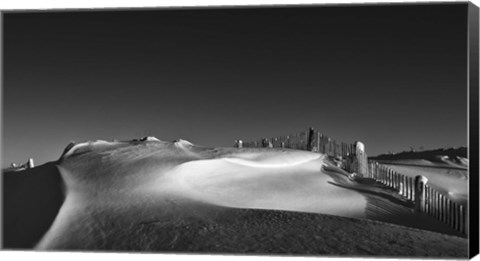 Framed If You Had No Name Print