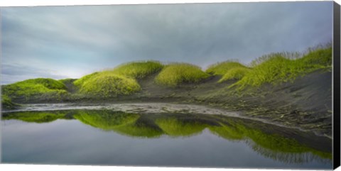 Framed Reflejo Verde 2 Print