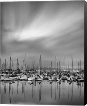 Framed Night Forest Print