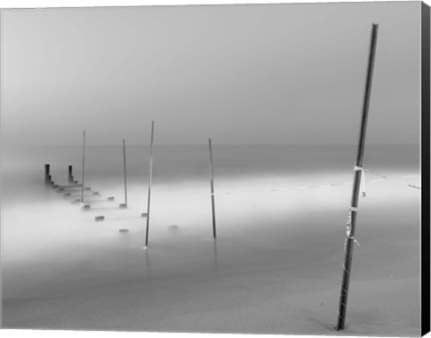 Framed Share the Same Skin Print