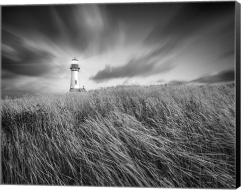 Framed Yaquina Lighthouse 3 Print