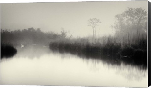 Framed South Meadows Print